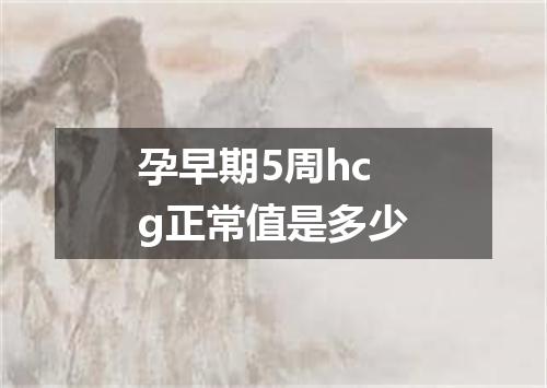 孕早期5周hcg正常值是多少