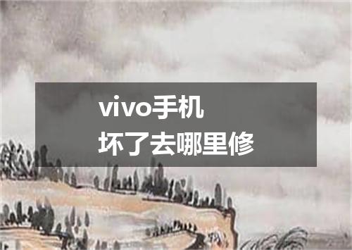 vivo手机坏了去哪里修