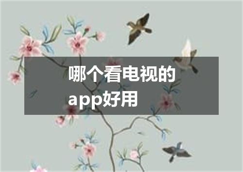 哪个看电视的app好用