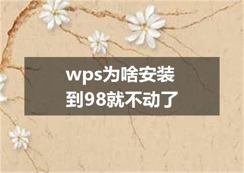 wps为啥安装到98就不动了