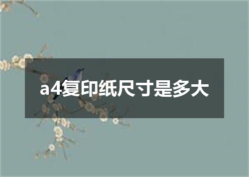 a4复印纸尺寸是多大