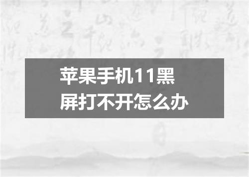 苹果手机11黑屏打不开怎么办