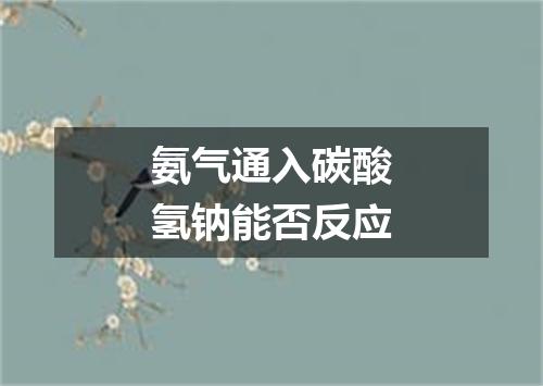 氨气通入碳酸氢钠能否反应