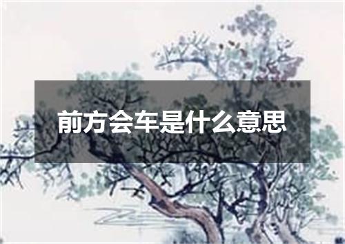 前方会车是什么意思