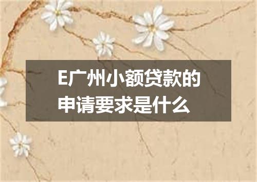 E广州小额贷款的申请要求是什么