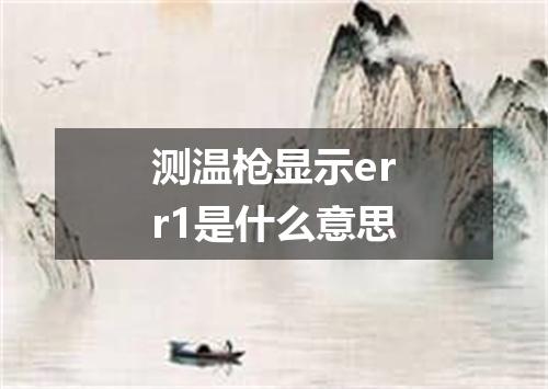 测温枪显示err1是什么意思