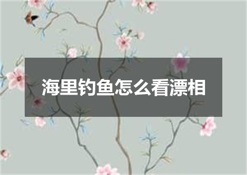 海里钓鱼怎么看漂相