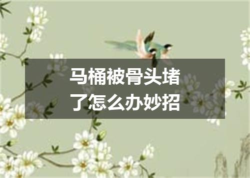 马桶被骨头堵了怎么办妙招