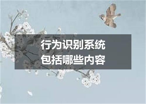 行为识别系统包括哪些内容