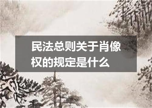民法总则关于肖像权的规定是什么
