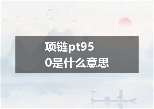 项链pt950是什么意思