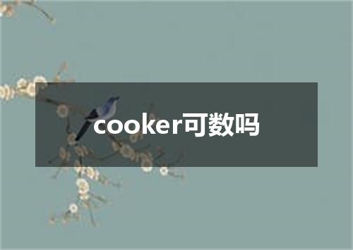 cooker可数吗