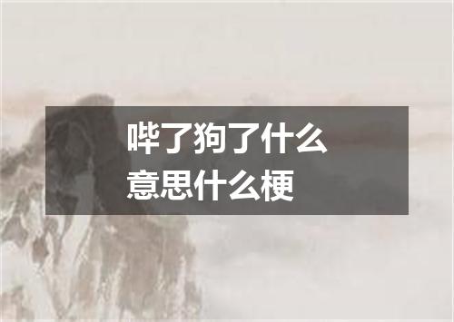 哔了狗了什么意思什么梗