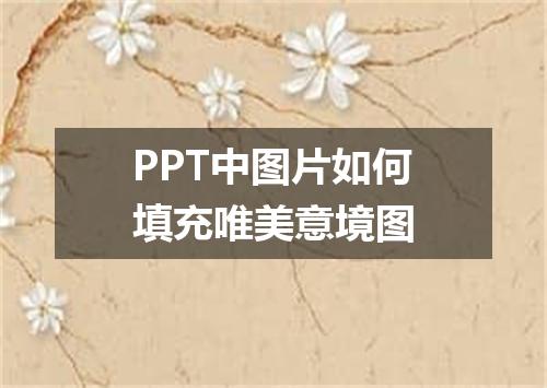 PPT中图片如何填充唯美意境图