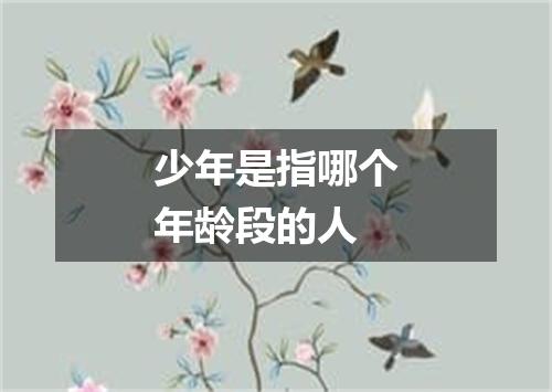 少年是指哪个年龄段的人
