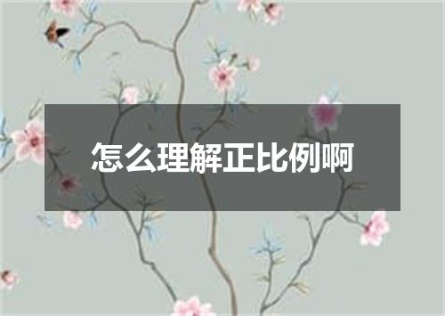 怎么理解正比例啊