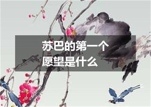 苏巴的第一个愿望是什么