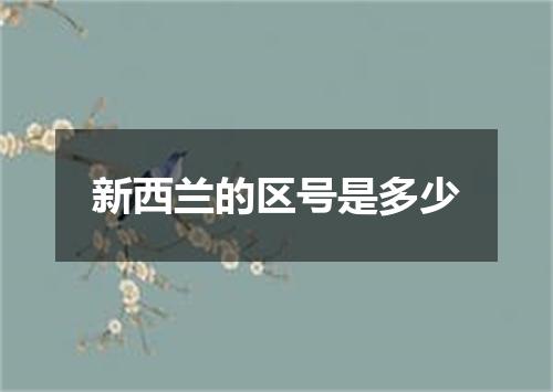 新西兰的区号是多少