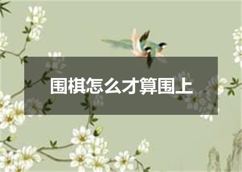 围棋怎么才算围上