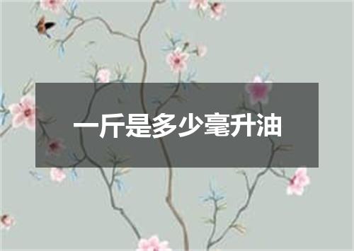 一斤是多少毫升油