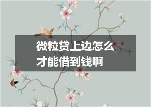 微粒贷上边怎么才能借到钱啊