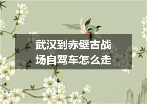 武汉到赤壁古战场自驾车怎么走