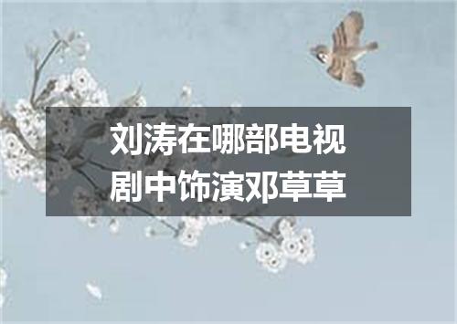 刘涛在哪部电视剧中饰演邓草草