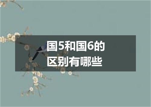 国5和国6的区别有哪些