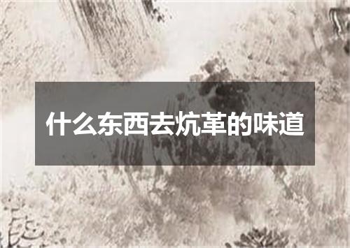 什么东西去炕革的味道