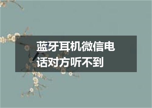 蓝牙耳机微信电话对方听不到