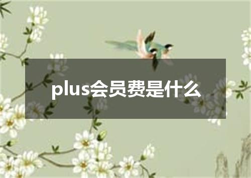plus会员费是什么