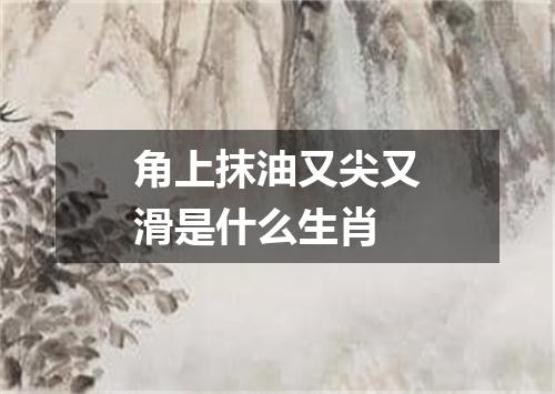 角上抹油又尖又滑是什么生肖