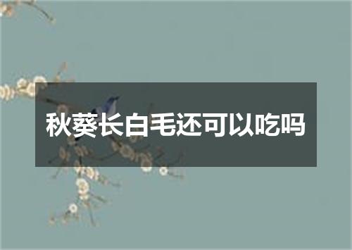 秋葵长白毛还可以吃吗