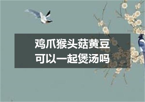 鸡爪猴头菇黄豆可以一起煲汤吗