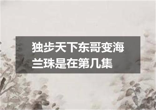 独步天下东哥变海兰珠是在第几集