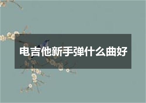 电吉他新手弹什么曲好