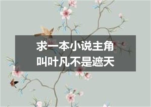 求一本小说主角叫叶凡不是遮天