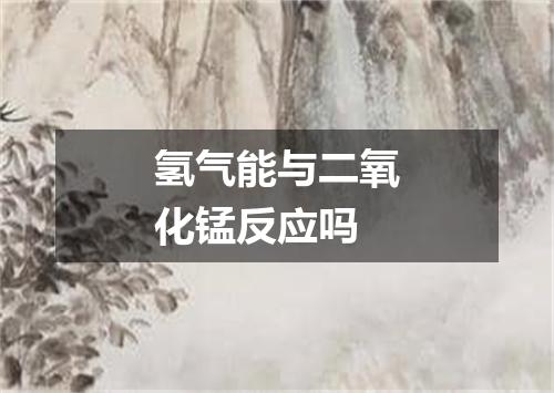 氢气能与二氧化锰反应吗