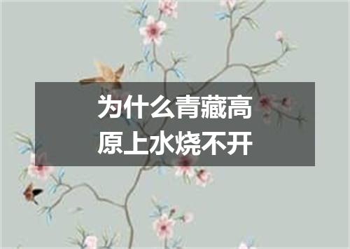 为什么青藏高原上水烧不开