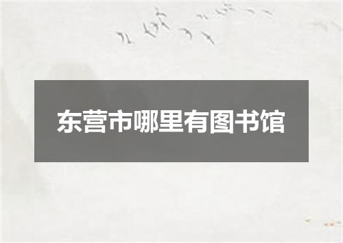 东营市哪里有图书馆