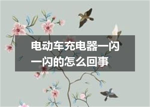 电动车充电器一闪一闪的怎么回事