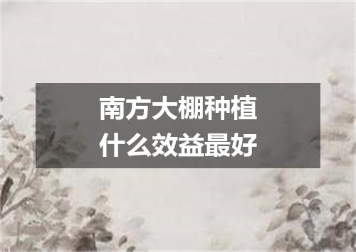 南方大棚种植什么效益最好