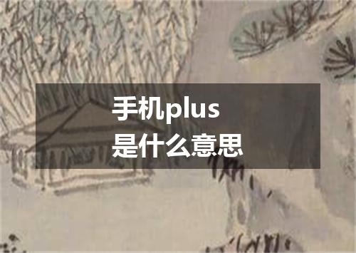 手机plus是什么意思