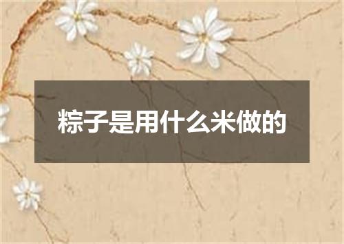 粽子是用什么米做的