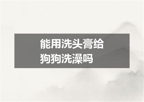 能用洗头膏给狗狗洗澡吗