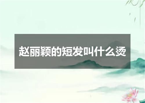 赵丽颖的短发叫什么烫