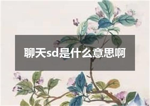 聊天sd是什么意思啊