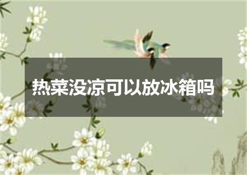热菜没凉可以放冰箱吗