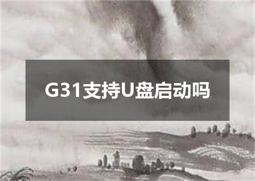 G31支持U盘启动吗