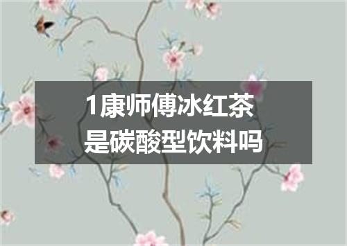 1康师傅冰红茶是碳酸型饮料吗